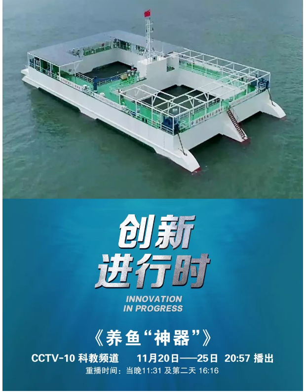風(fēng)再猛、浪再大，都攔不住我養(yǎng)魚的雄心！
