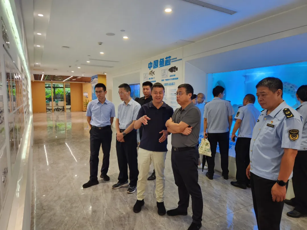 省市場監(jiān)管局、省知識產(chǎn)權(quán)局黨組書記、局長鐵剛到晨海開展知識產(chǎn)權(quán)工作調(diào)研